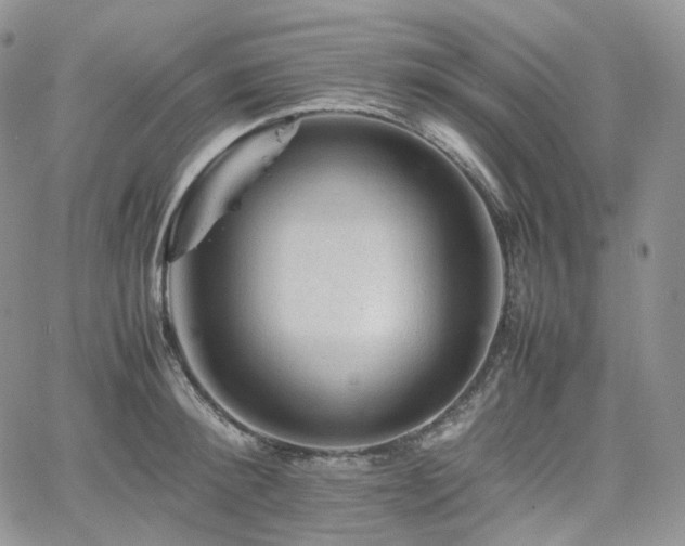 X0000062170900200512091427