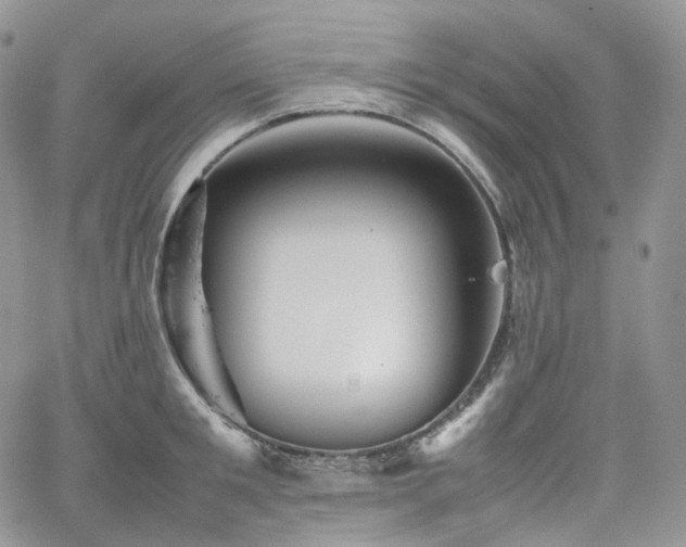 X0000062170901200512091427