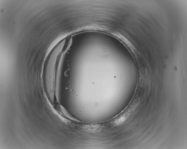 X0000062170902200512091427