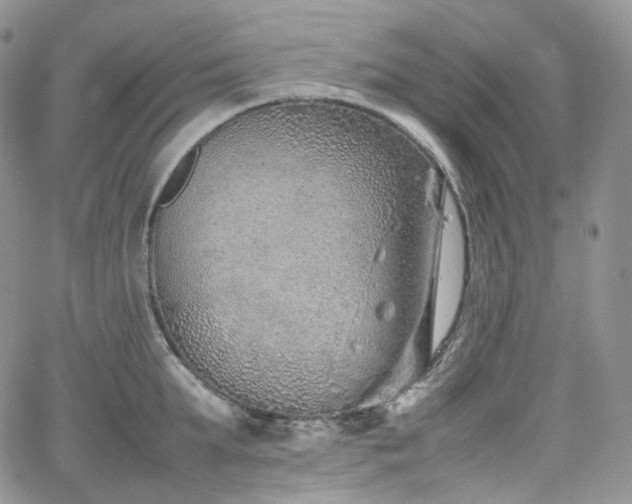 X0000062170903200512091427