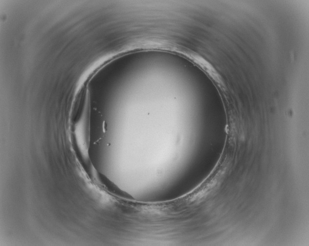 X0000062170904200512091427