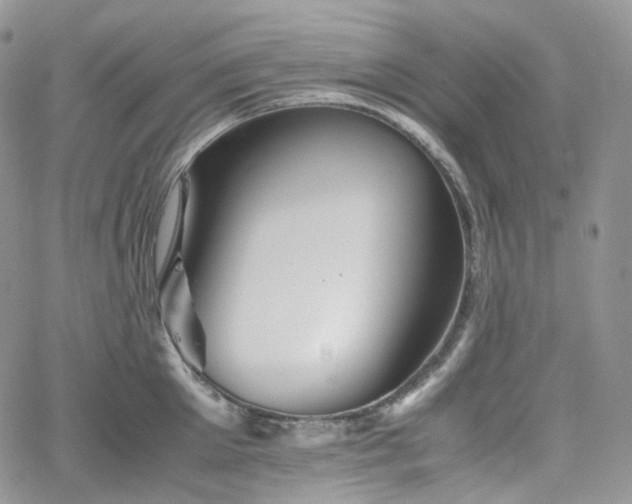 X0000062170905200512091427