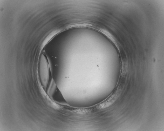 X0000062170906200512091427