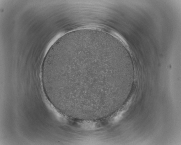 X0000062170907200512091427