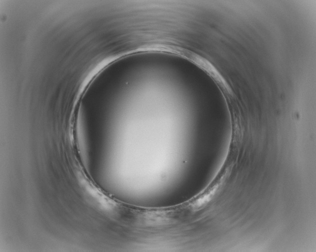 X0000062170908200512091427