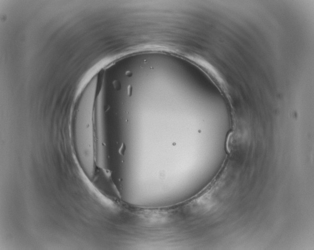 X0000062170910200512091427