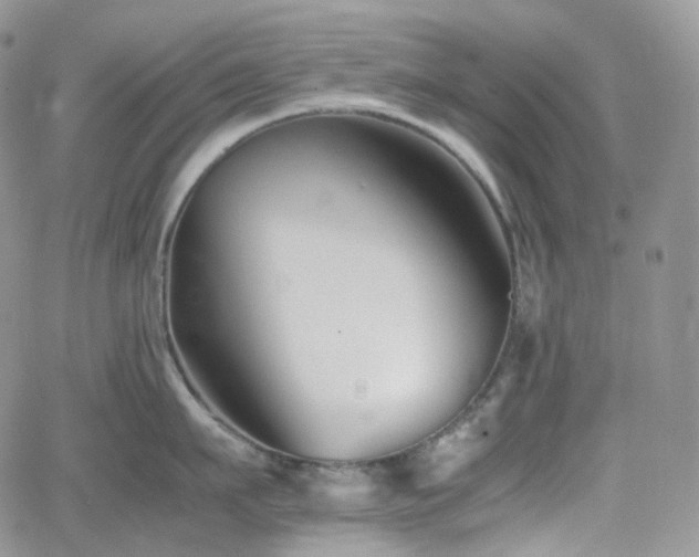 X0000062170911200512091427