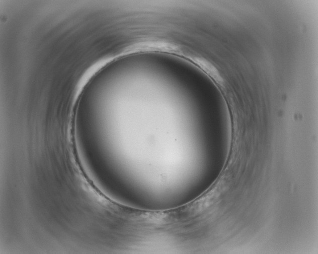 X0000062170912200512091427