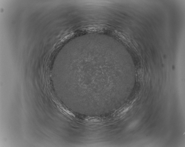 X0000062170913200512091426