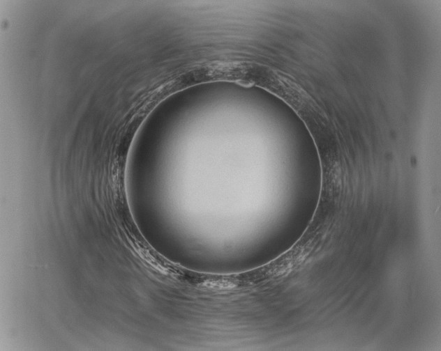 X0000062170914200512091426