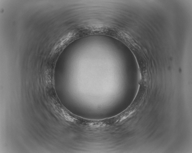 X0000062170916200512091426