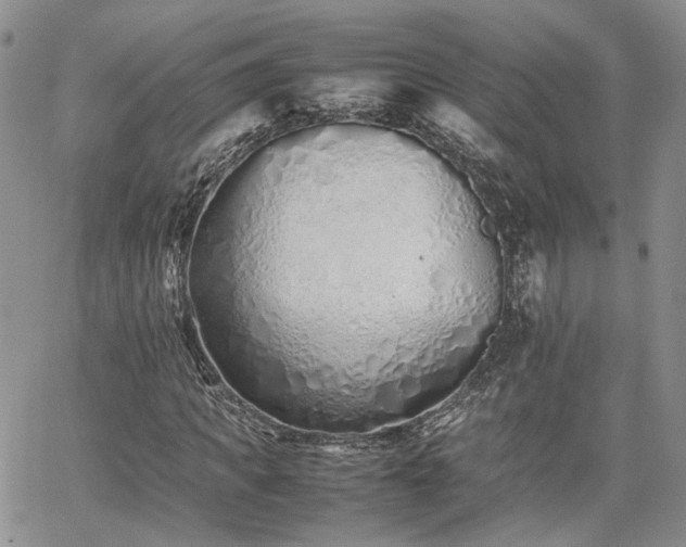 X0000062170917200512091426