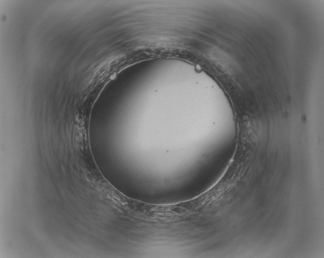 X0000062170918200512091426