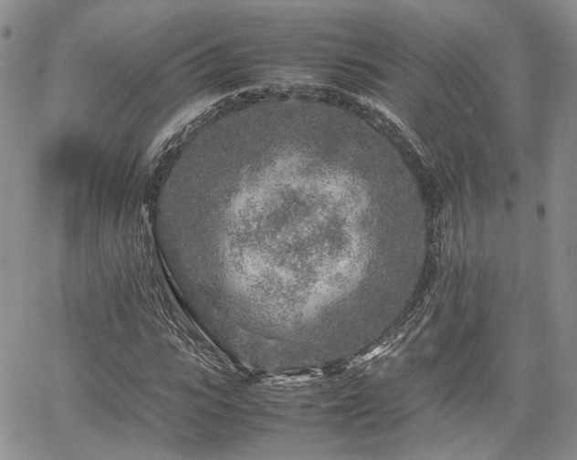 X0000062170919200512091426