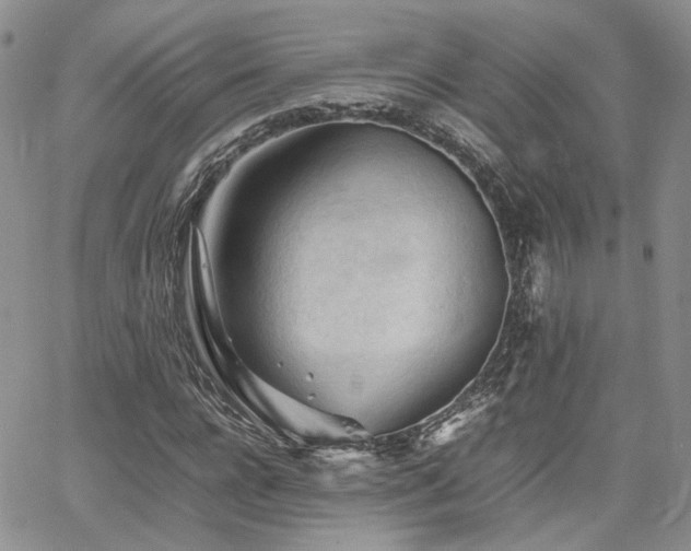 X0000062170920200512091426