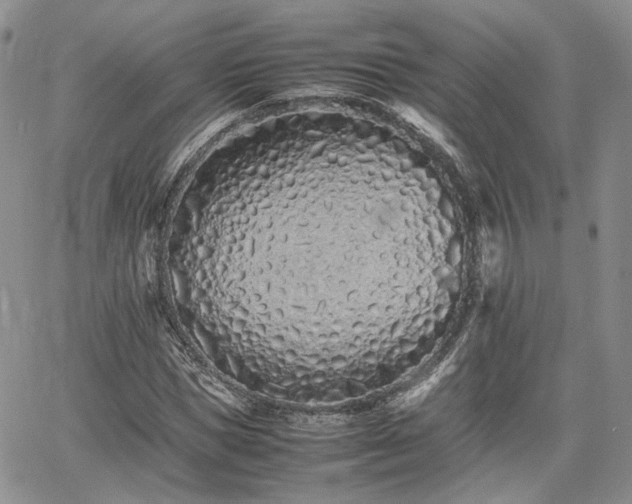 X0000062170921200512091426