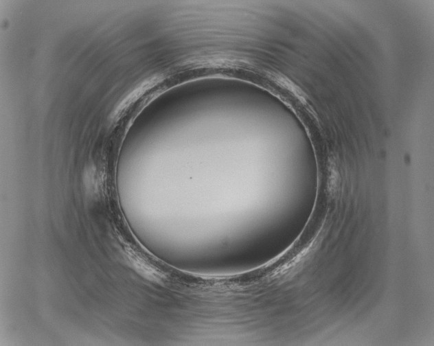 X0000062170922200512091426