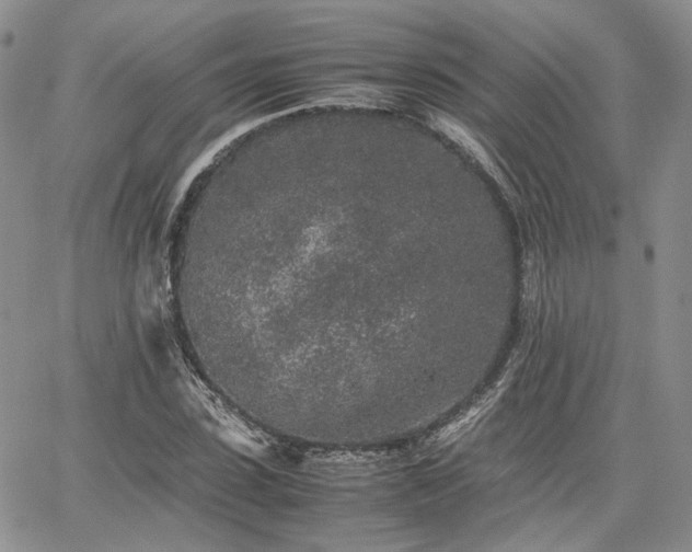 X0000062170923200512091426