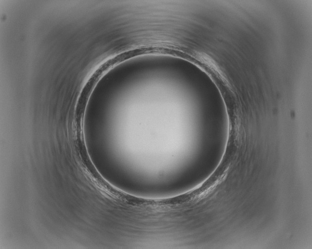 X0000062170924200512091426