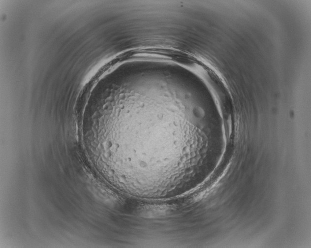 X0000062170925200512091426