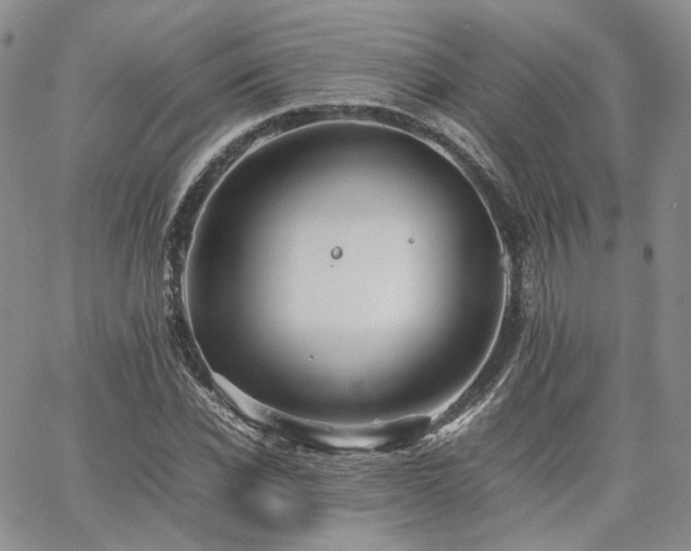 X0000062170926200512091426