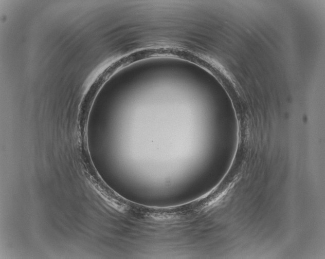 X0000062170927200512091426