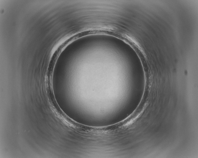 X0000062170928200512091426