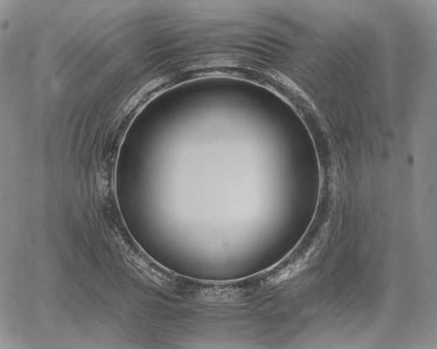 X0000062170929200512091426