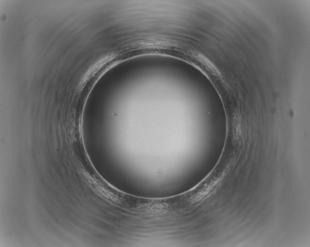 X0000062170930200512091426