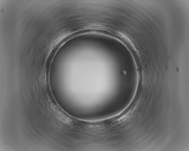 X0000062170931200512091426