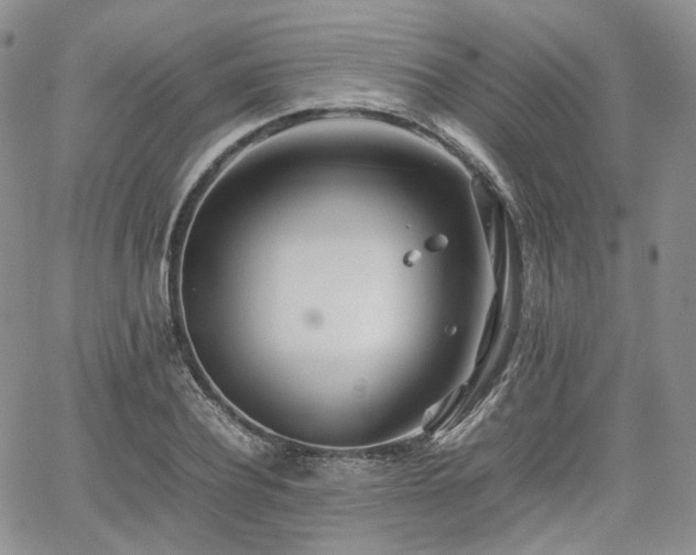 X0000062170932200512091426