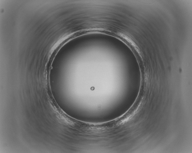 X0000062170933200512091426