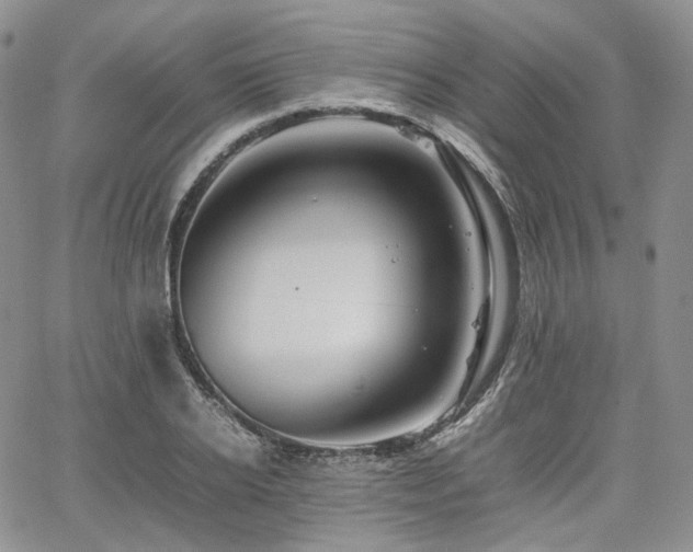 X0000062170934200512091426