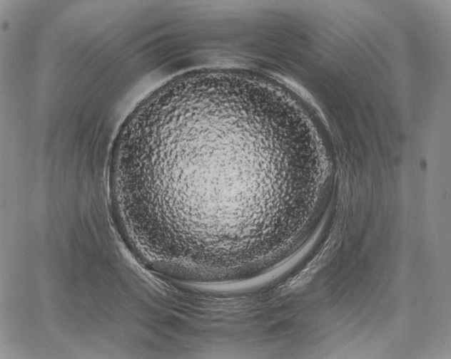 X0000062170935200512091426