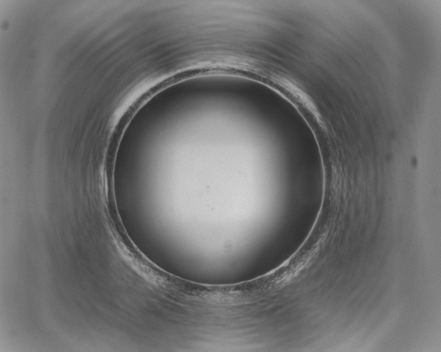 X0000062170936200512091426