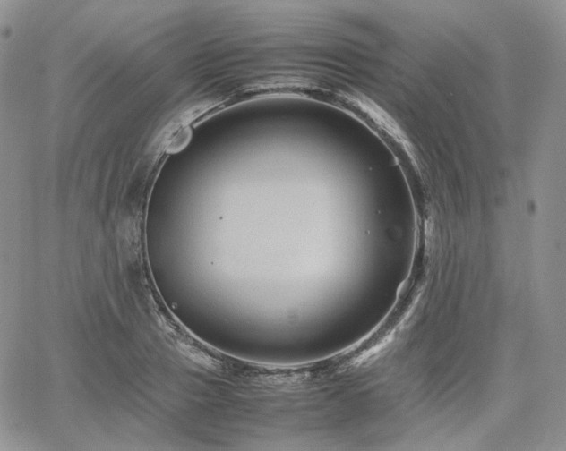 X0000062170937200512091426