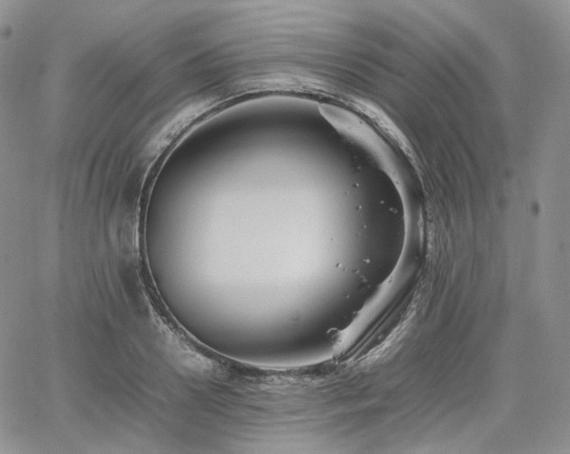 X0000062170938200512091426