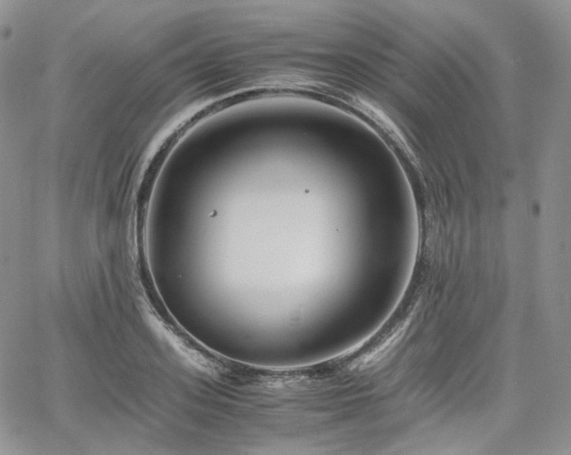 X0000062170939200512091426