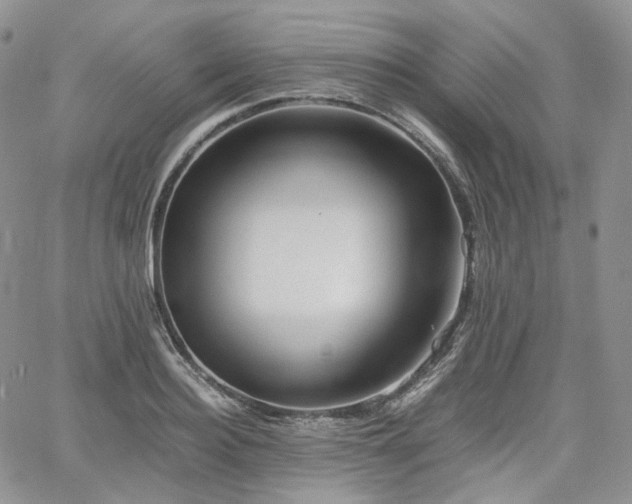 X0000062170940200512091426