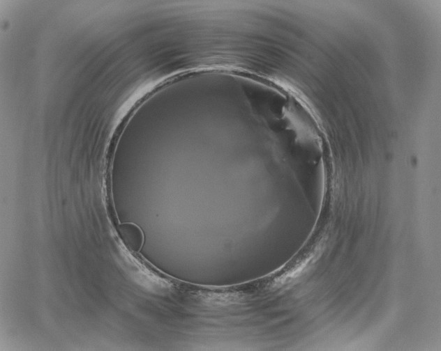 X0000062170941200512091426