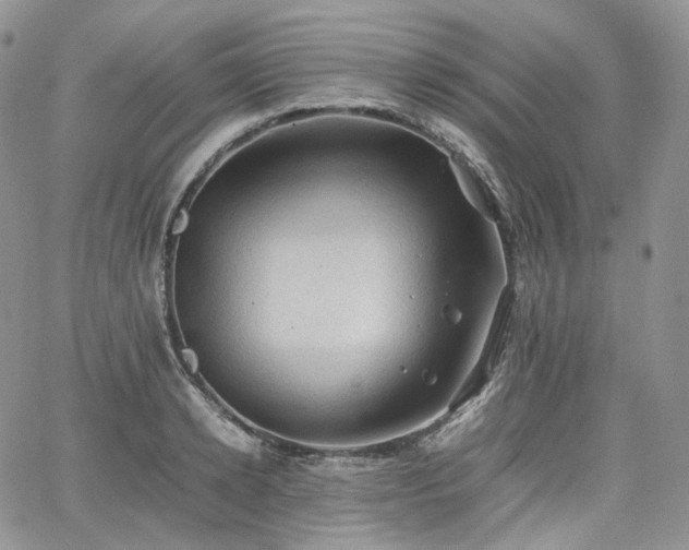 X0000062170942200512091426