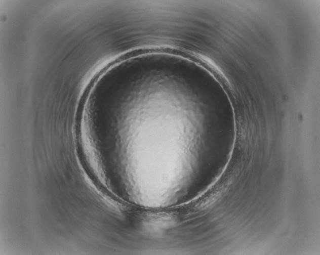 X0000062170943200512091426