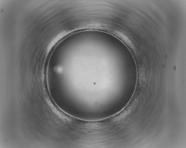 X0000062170944200512091426