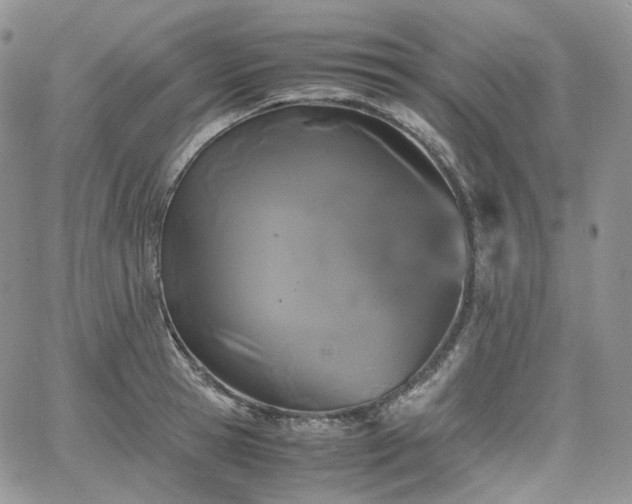 X0000062170945200512091426