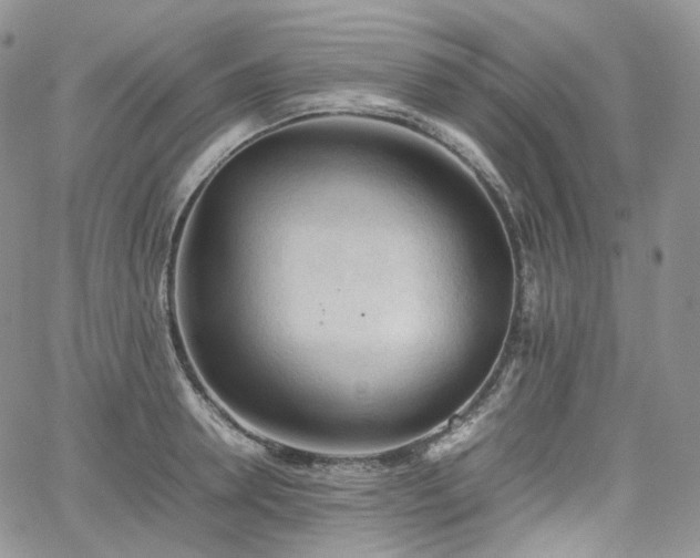 X0000062170946200512091427