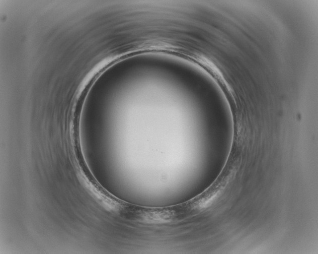 X0000062170947200512091427