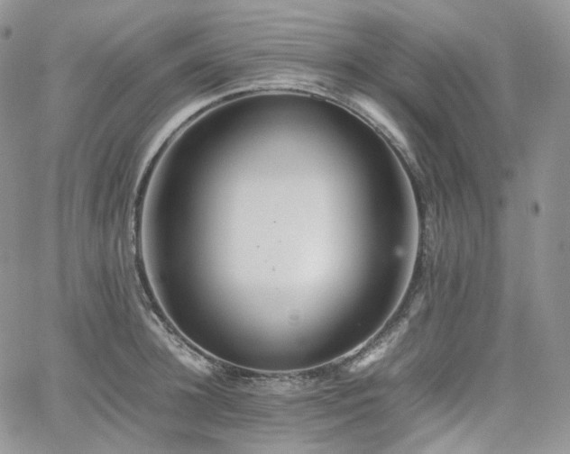 X0000062170948200512091427