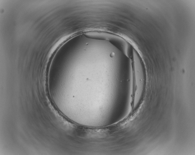 X0000062170949200512091427