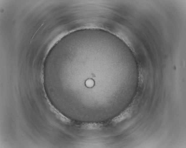 X0000062170950200512091427