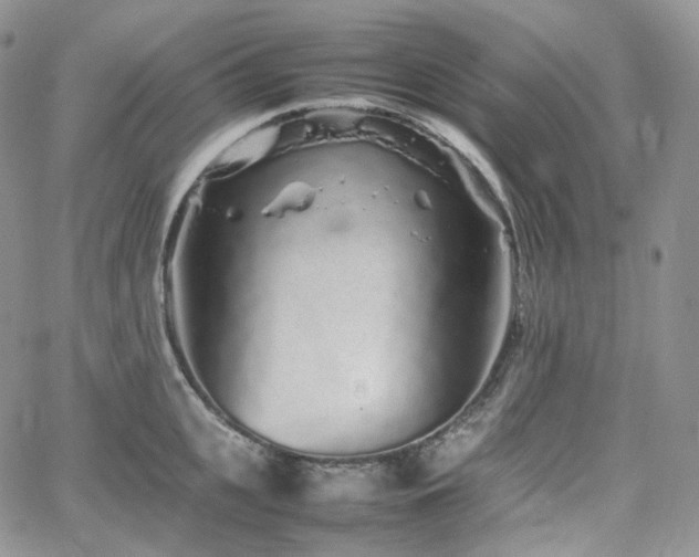 X0000062170951200512091427